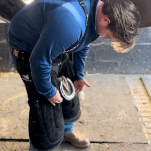 Pinnacle Evolution Chaps + Braces